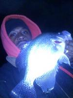 BIG CRAPPIE